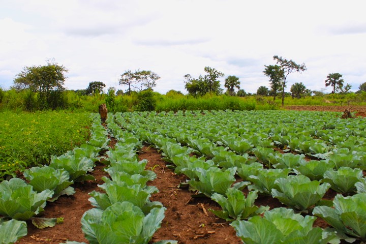Okello Robert