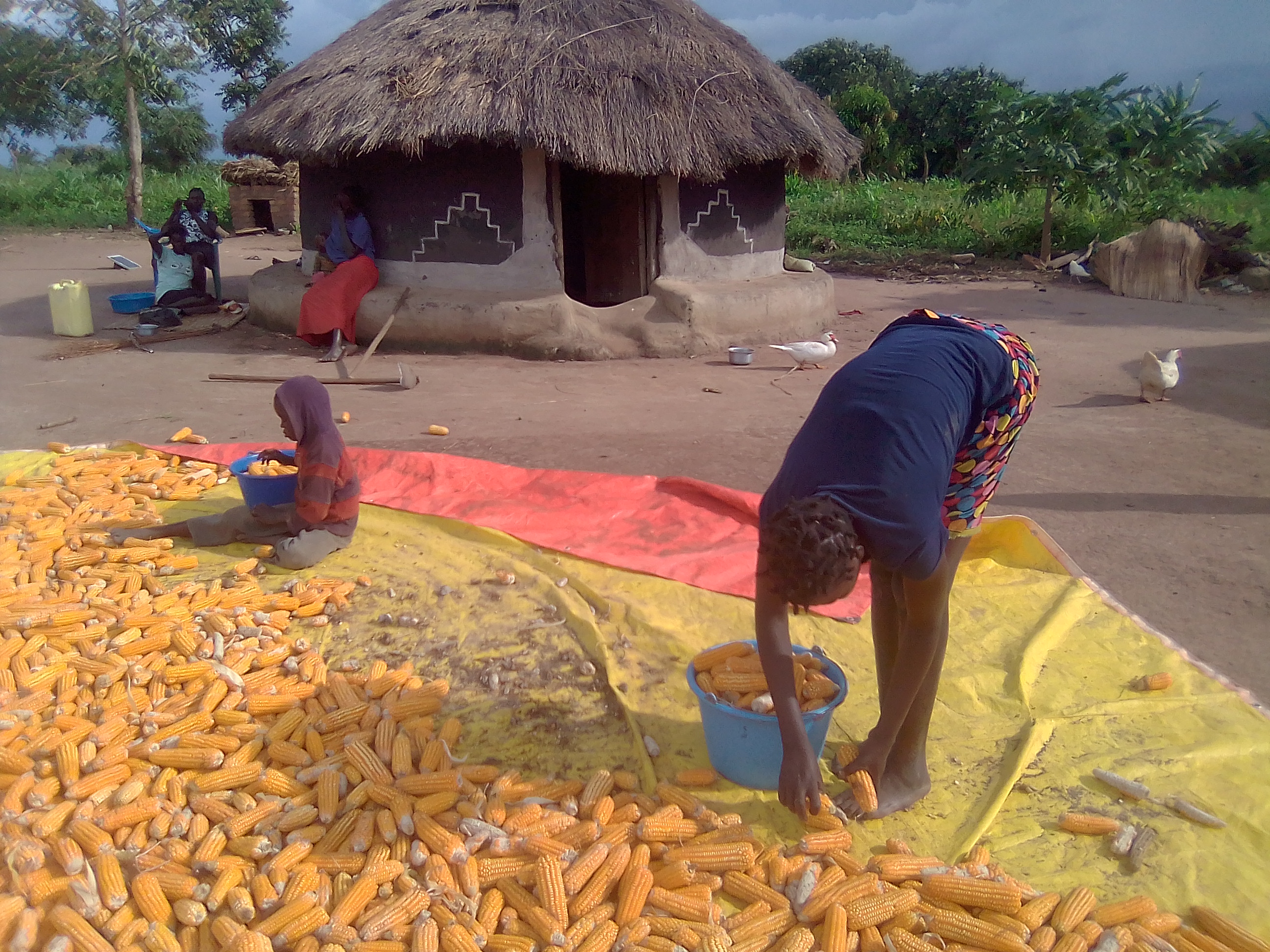Community household setting
