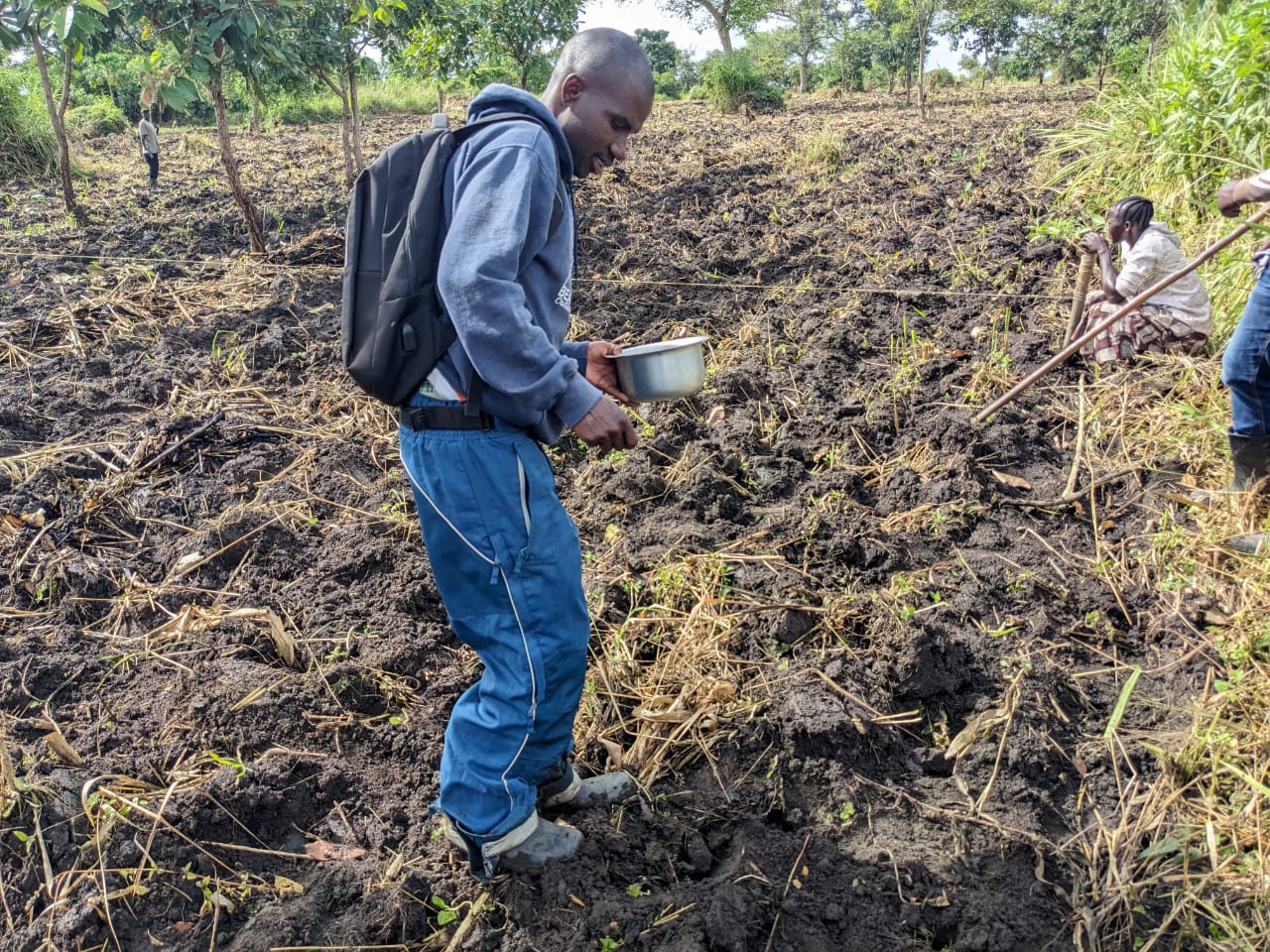 Agriculture field activity